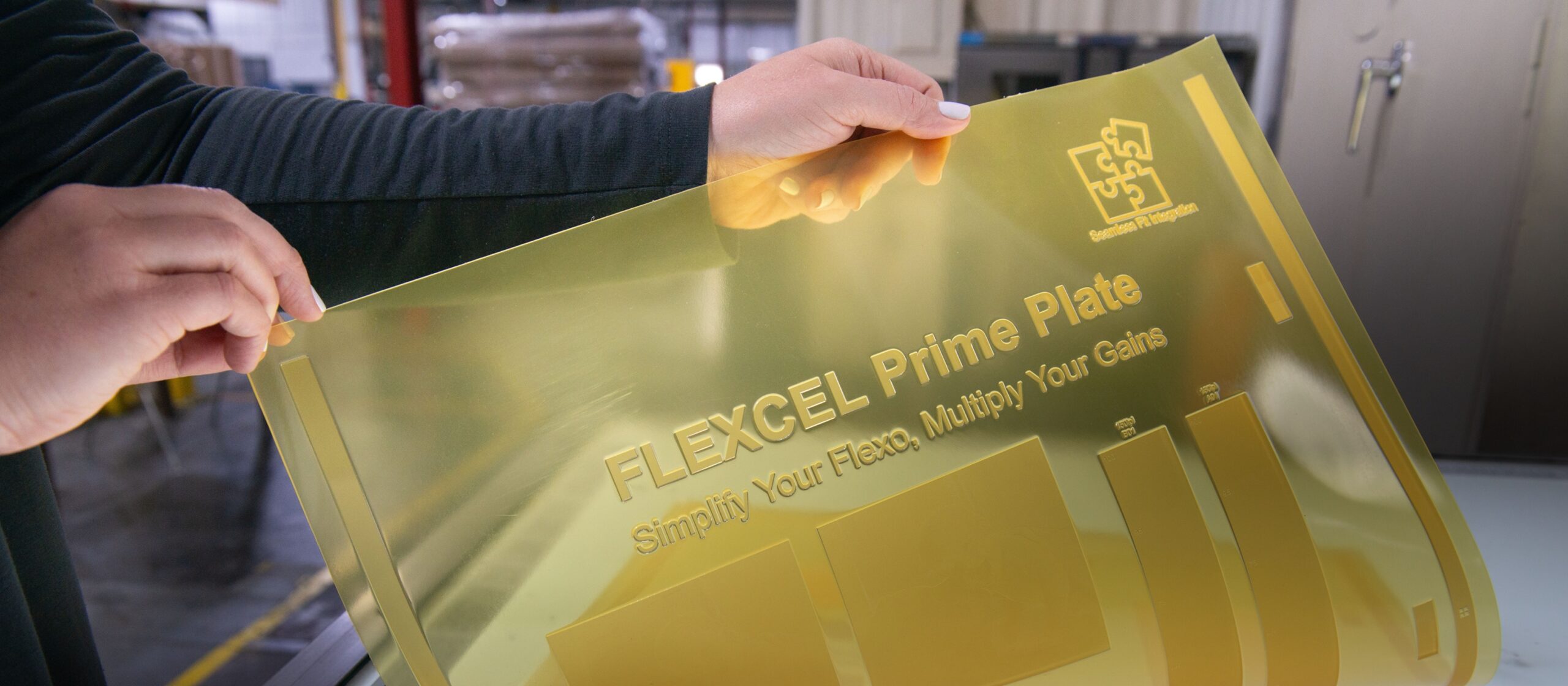 FLEXCEL Prime Plate: seis meses depois